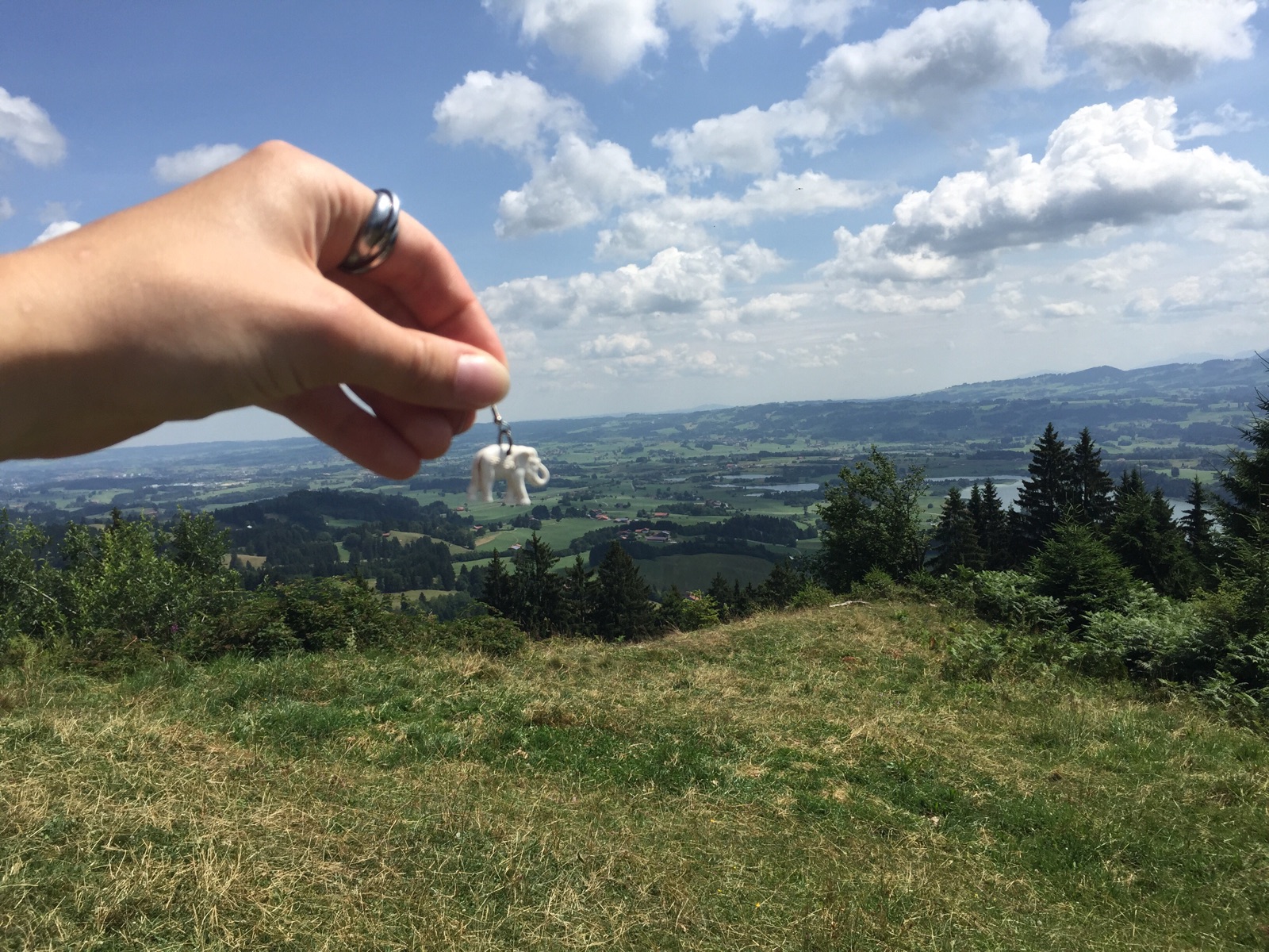 Mampfred im schönen Allgäu