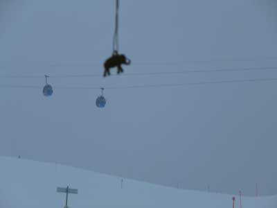 braucht keinen Skilift: Mampfred!